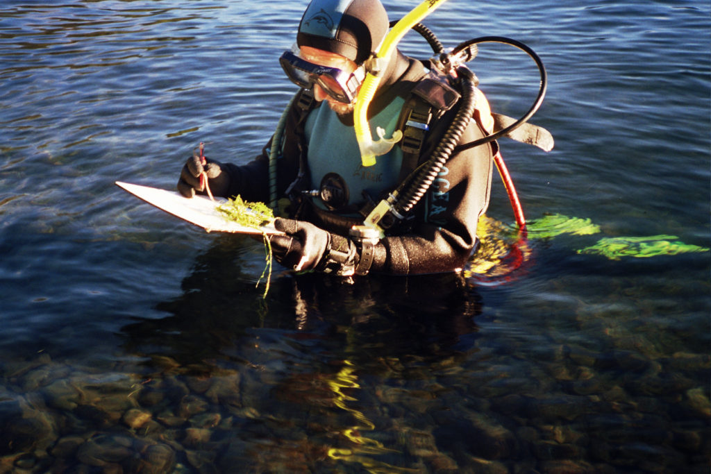 Chris wearing scuba equipment completing his assessment of the ecological condition underwater or submerged plant communities