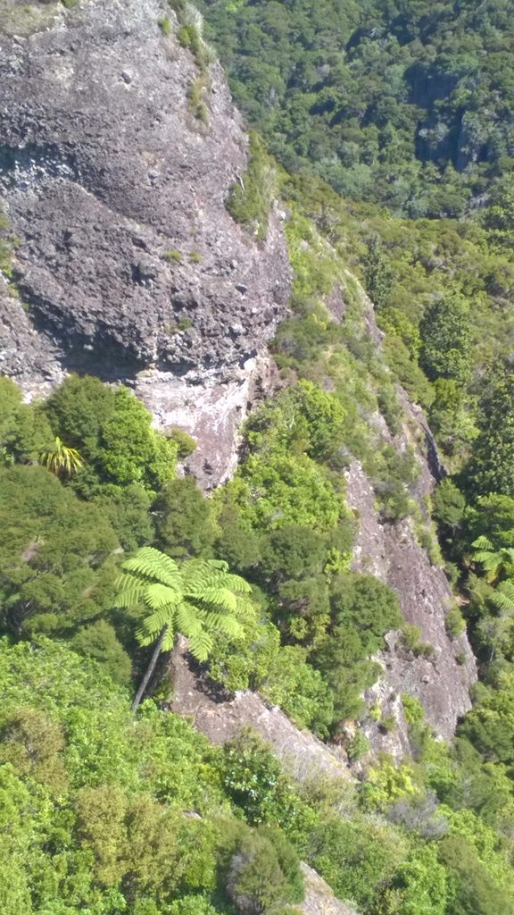 Volcanic landscape, Dukes Nose in Whangaroa Harbour, New Zealand